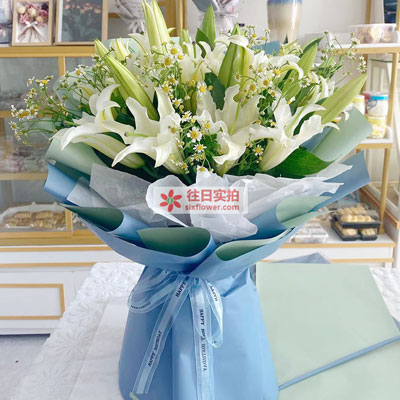 商丘8支白色多头百合洋甘菊，互倾的思念