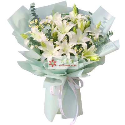 商丘6支白色多头百合，温馨的祝福